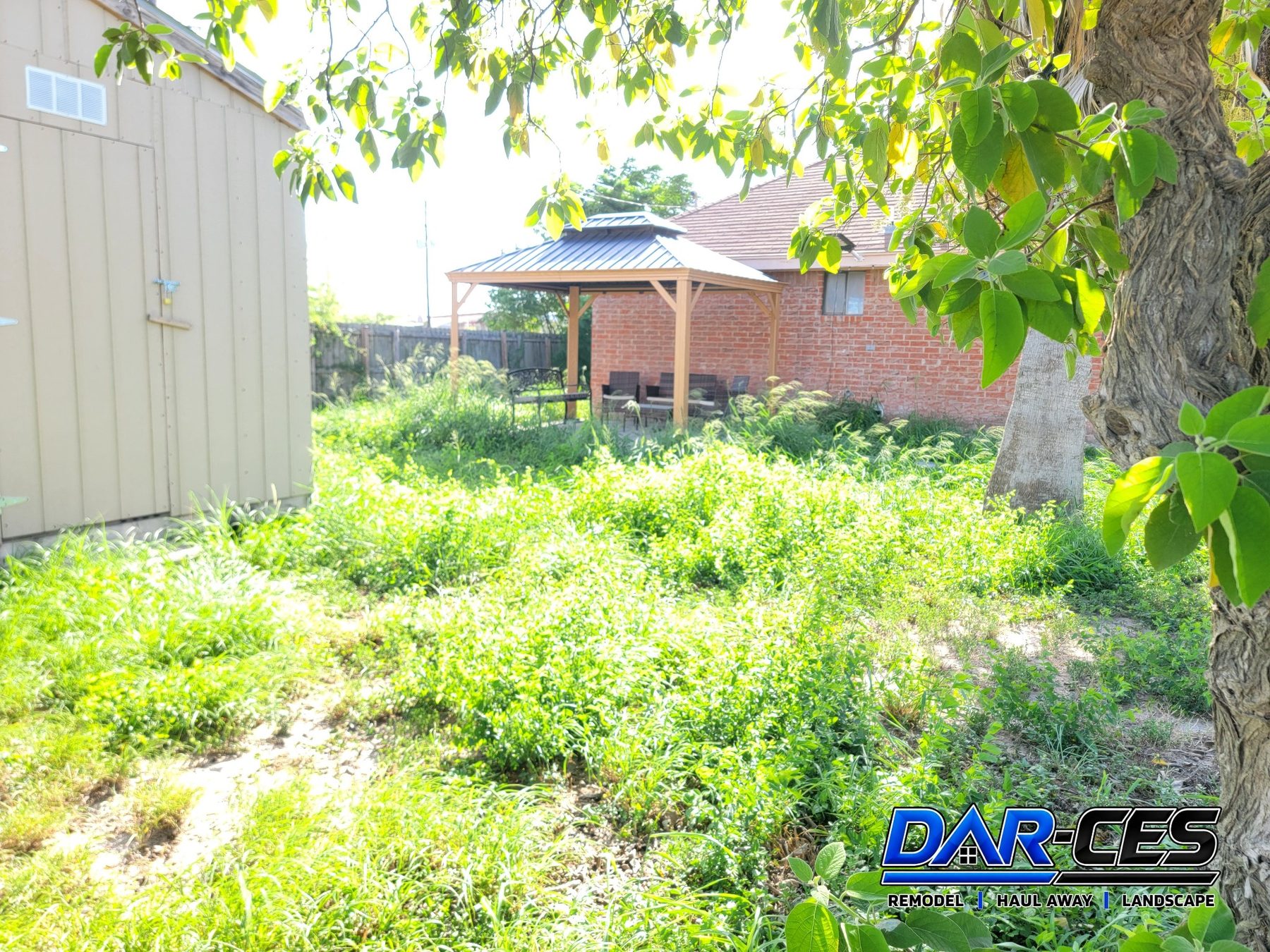 BEFORE – lawn and landscape yard cleanup