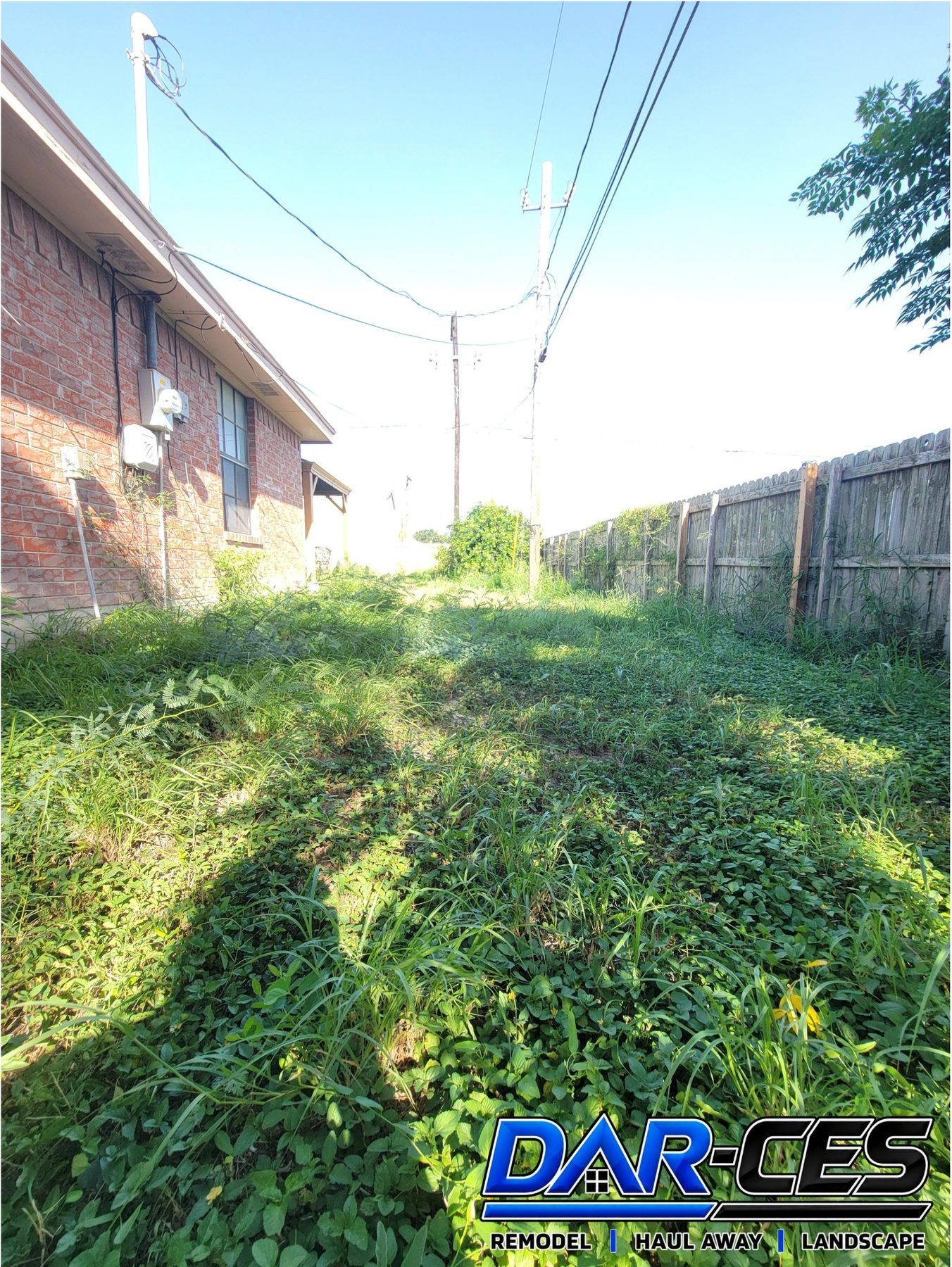 BEFORE – lawn and landscape yard cleanup