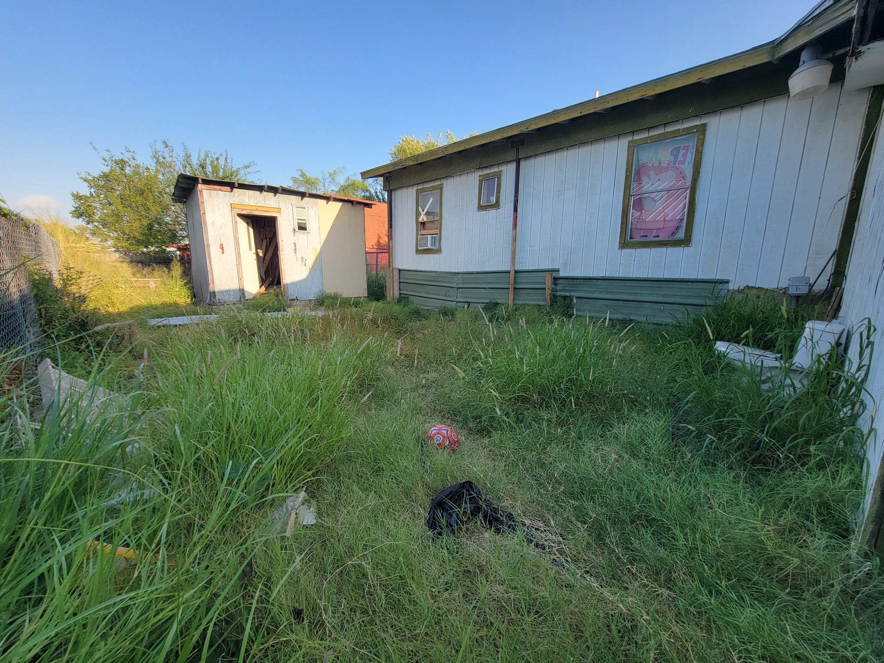 BEFORE – lawn and landscape yard cleanup