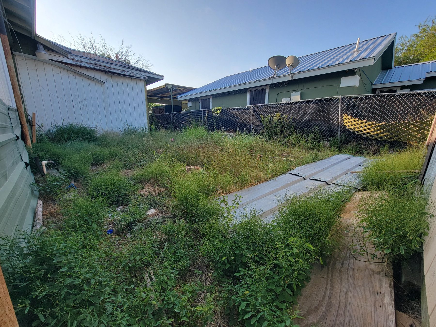 BEFORE – lawn and landscape yard cleanup