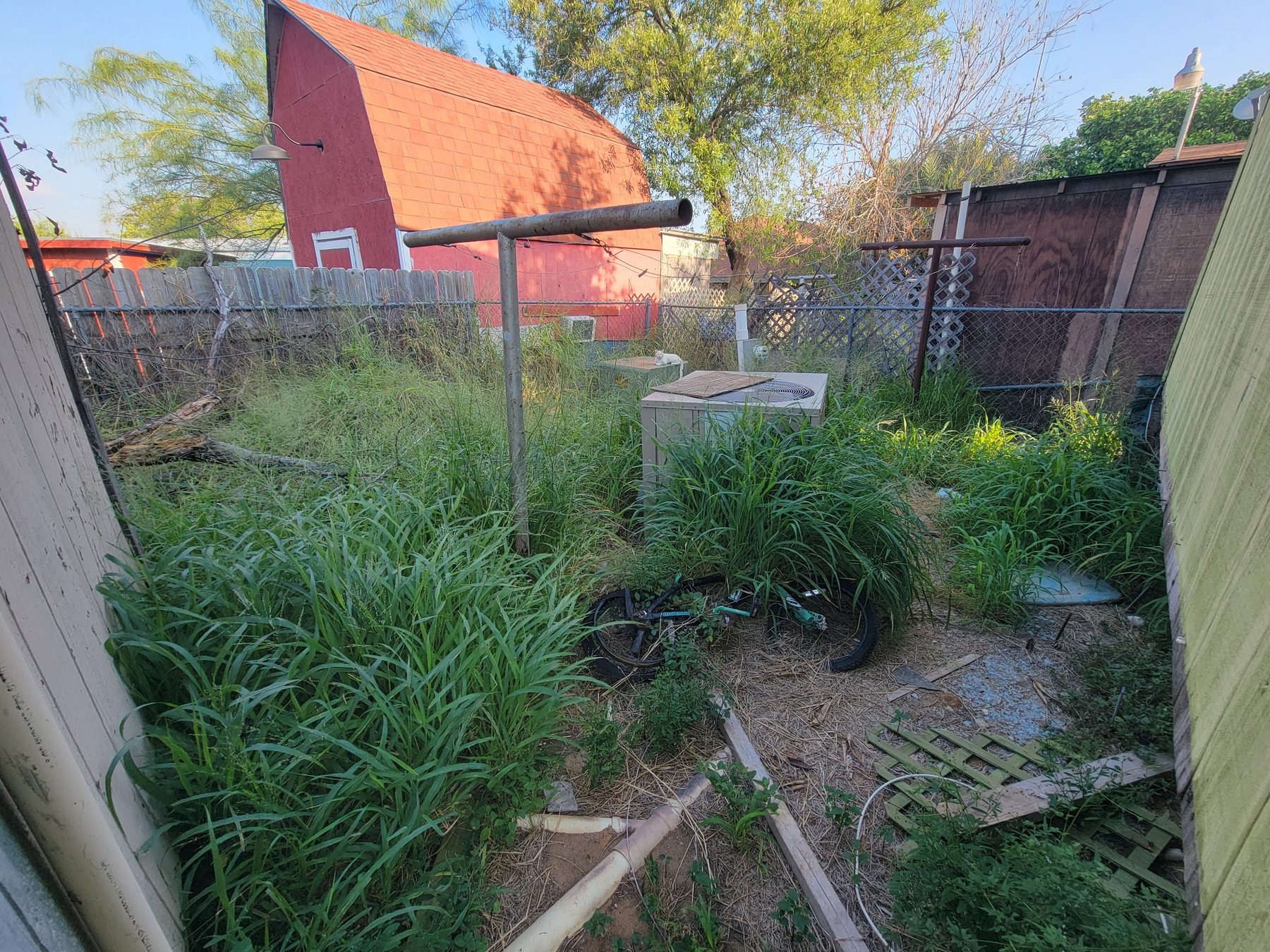 BEFORE – lawn and landscape yard cleanup