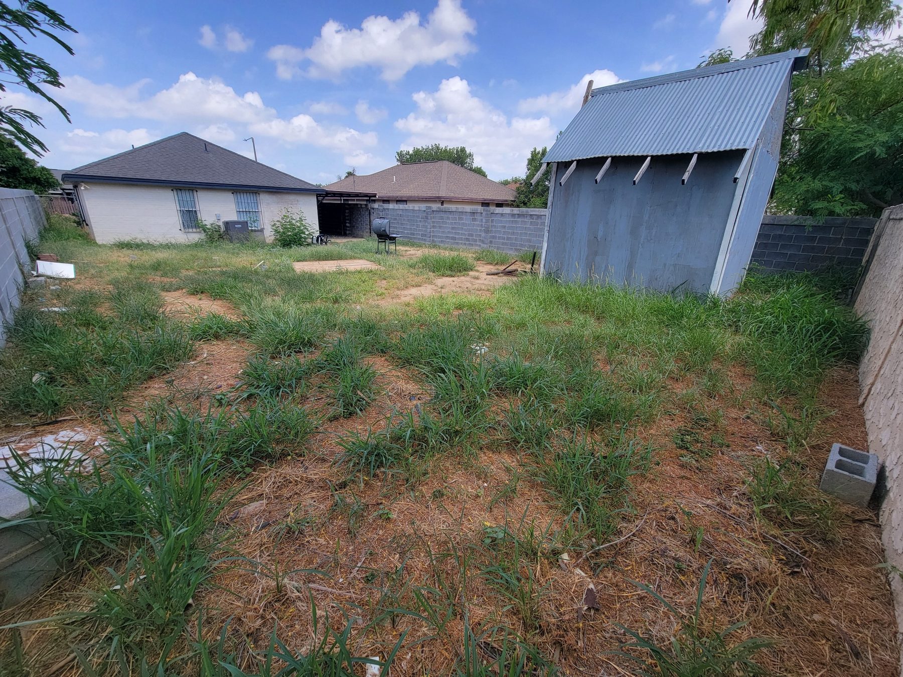 BEFORE – lawn and landscape project